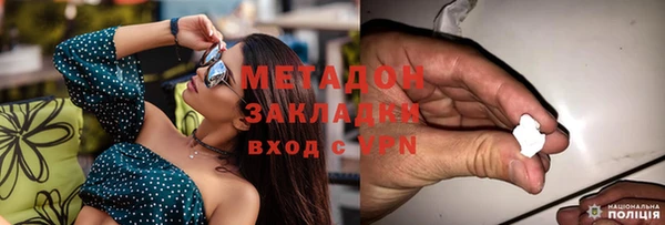 индика Алзамай