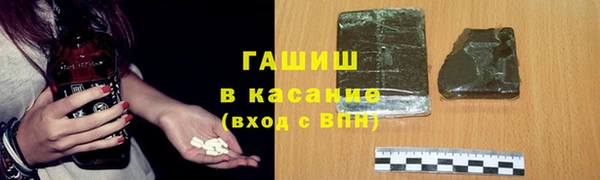индика Алзамай