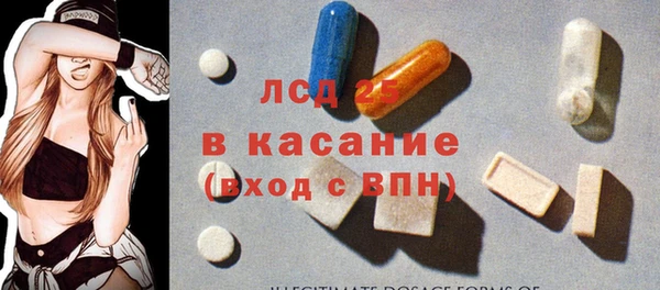 индика Алзамай