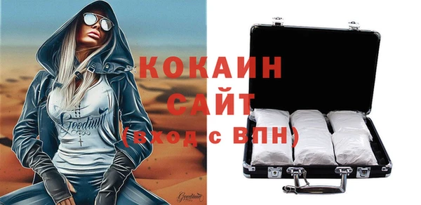 индика Алзамай